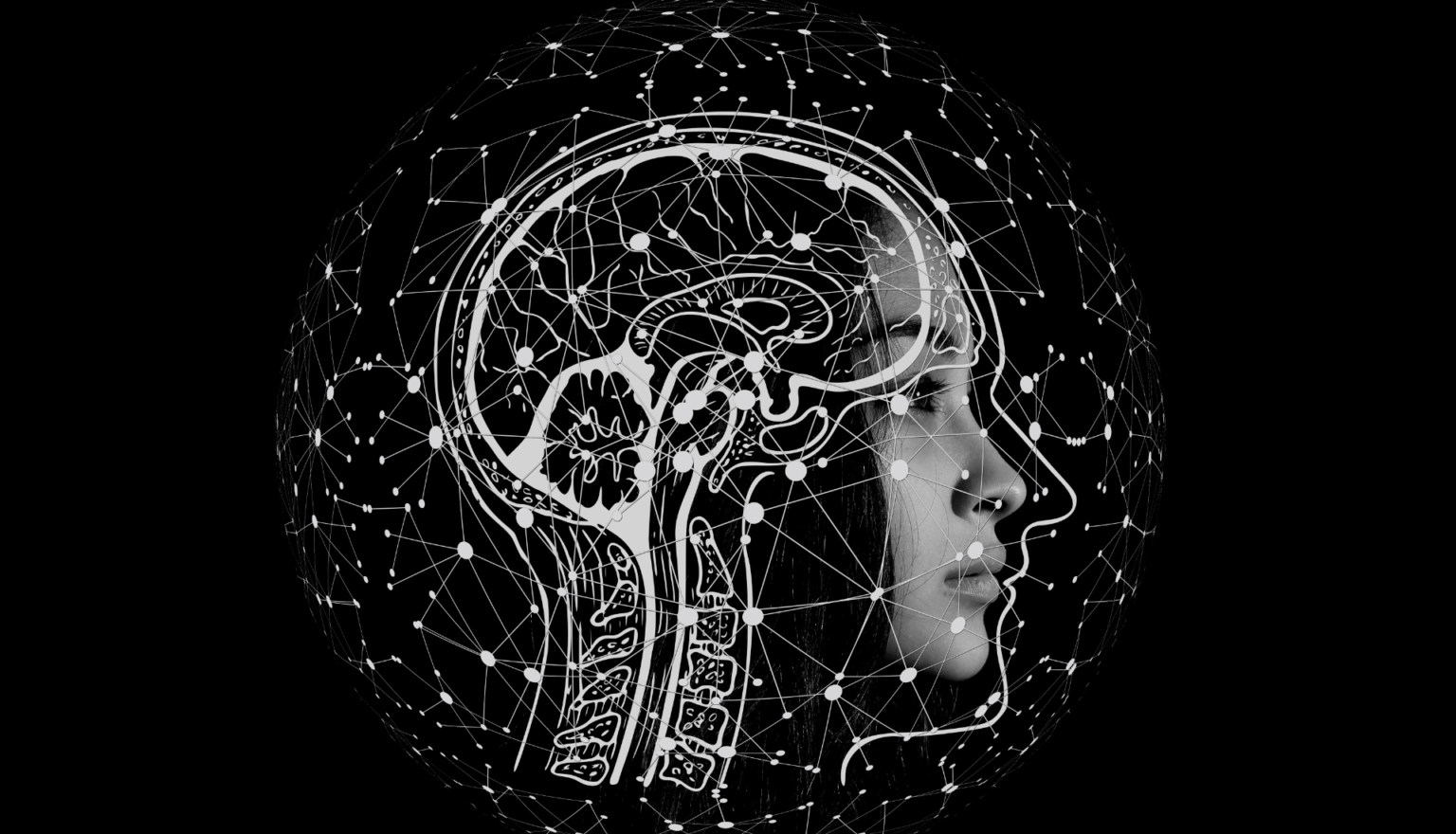 Food for brain during exam times