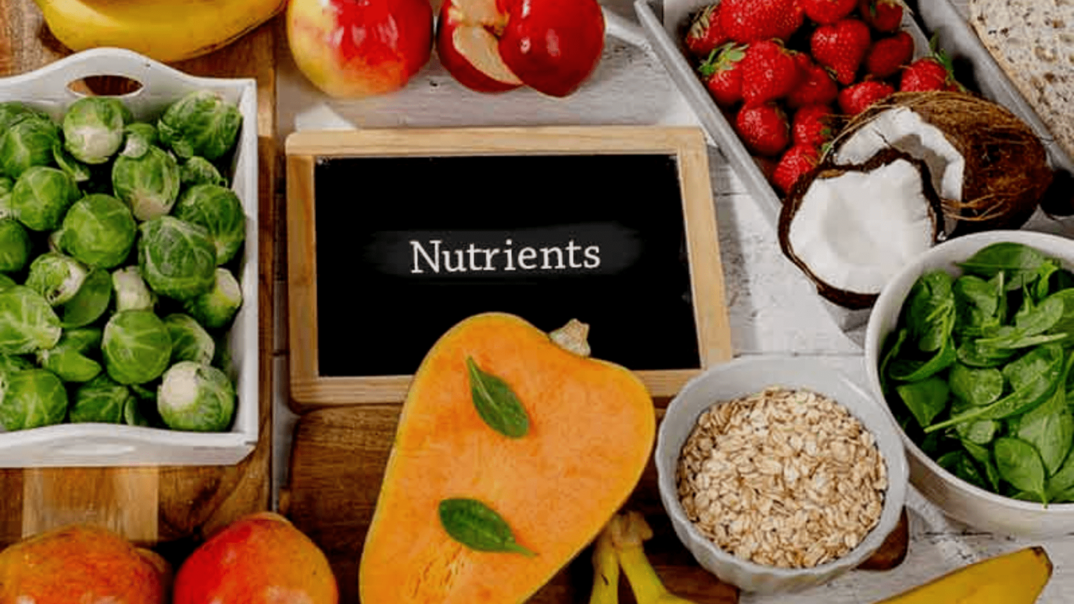 Why are nutrients essential Terms of Life