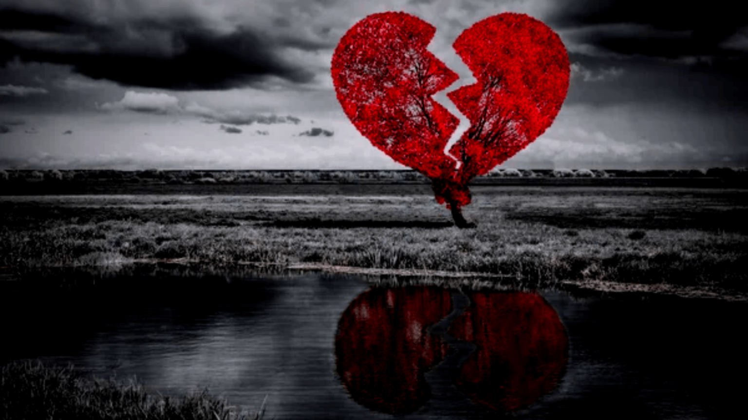 Out of my reach it goes